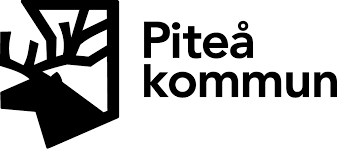 {}